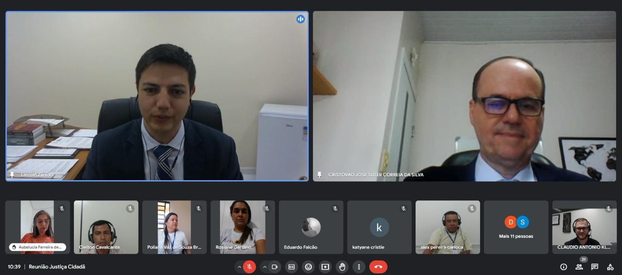 print de reeunião online onde os presentes estão parecendo na interface 