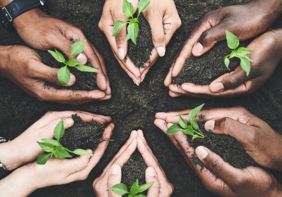 Mãos de seis pessoas sob terra, segurando um pouco de terra com uma muda de planta em cada.