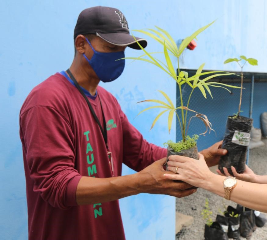 Foto de homem entregando duas mudas de plantas.