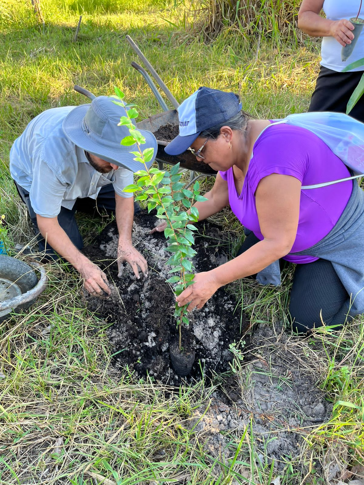 foto colorida de servidores do TJRR plantando mudas 