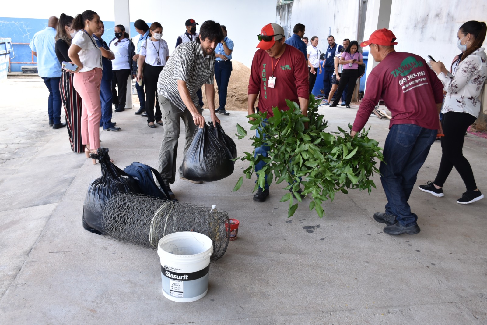 foto colorida de servidores do tjrr com plantas