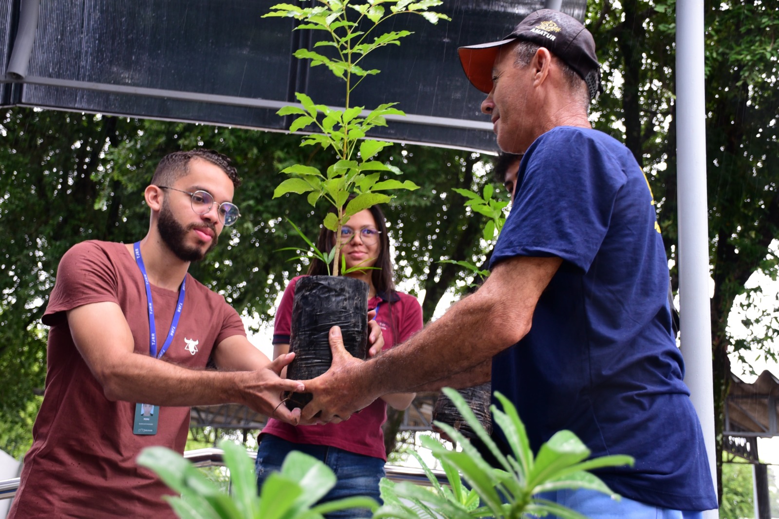 foto colorida de um estagiário do TJRR pegando uma muda de planta 