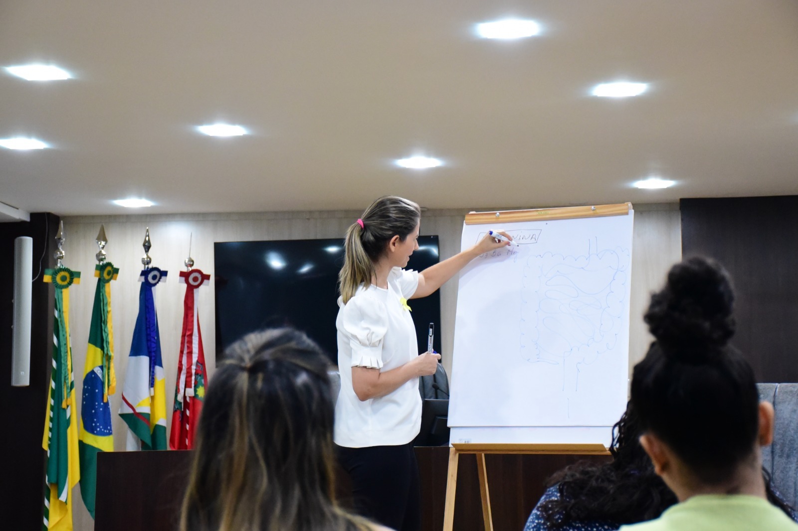  Imagem colorida  mostra a psicóloga do SQV/TJRR, Perla Lima, palestrando para um grupo de pessoas sentadas em cadeiras de frente para ela, em uma sala