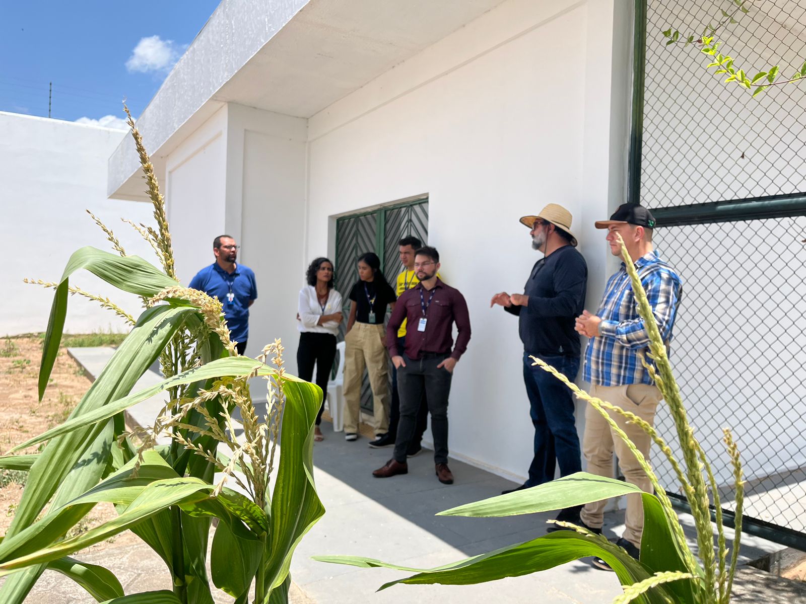 foto colorida na parte de cultivo das hortaliças que estão plantas no chão. Em primeiro plano é possível ver cinco servidores do CIJ, sendo duas mulheres e três homens e mais dois colaboradores homens do CSE explicando sobre a parte. Todos estão em pé