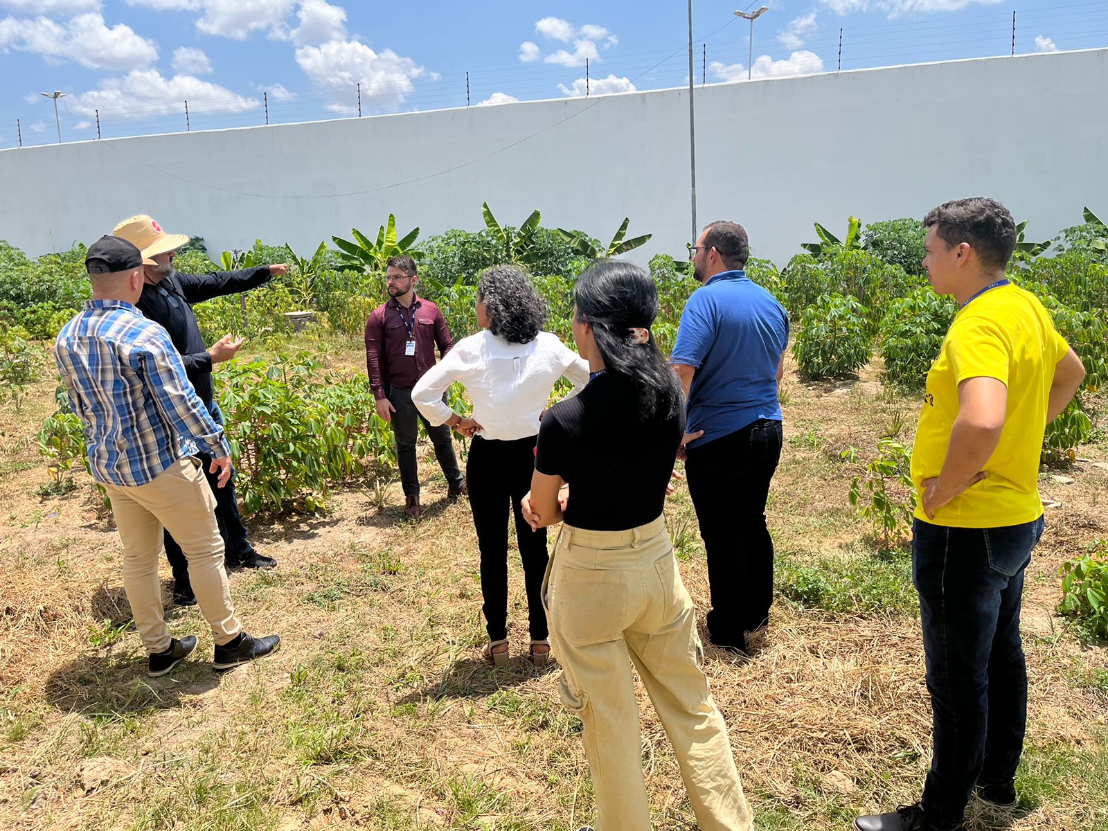 foto colorida na parte externa do CSE, em primeiro plano aparecem as folha verde de uma hortaliça logo atrás é possível ver cinco servidores do CIJ, sendo duas mulheres e três homens e mais dois colaboradores homens do CSE. Todos estão em pé. 