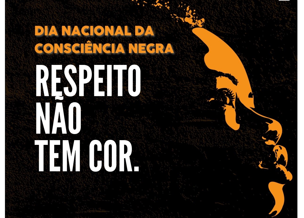 20 de novembro – Dia da Consciência Negra