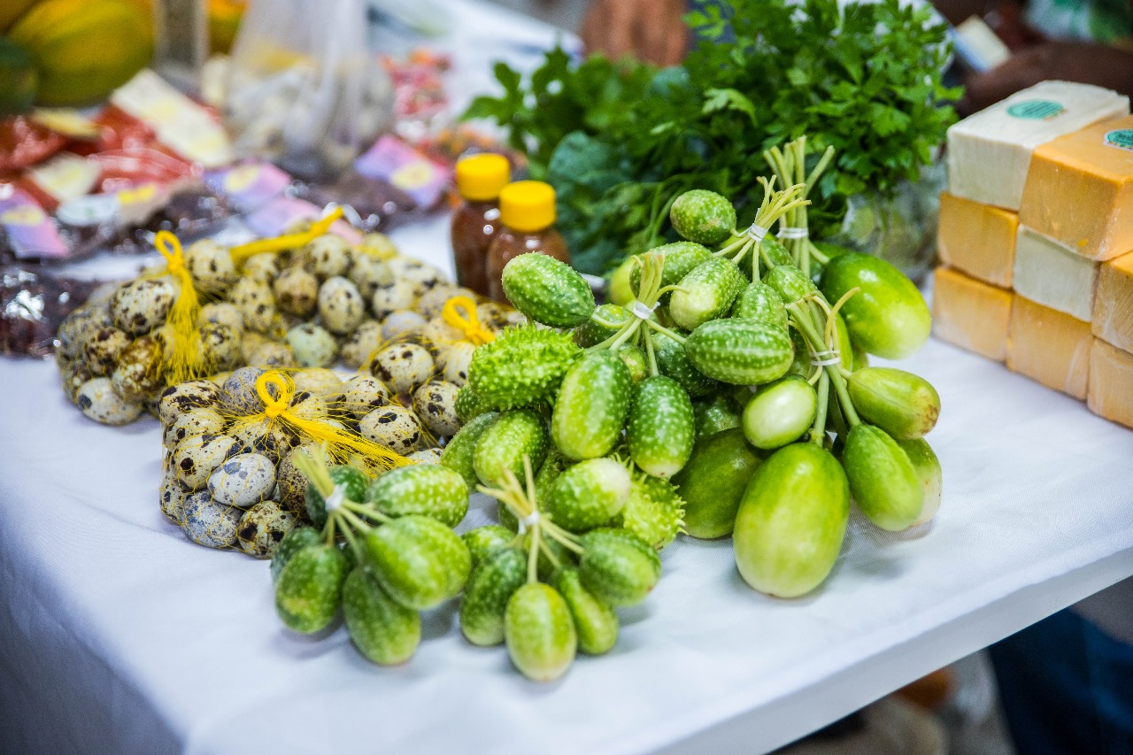 A imagem mostra uma mesa de feira com alimentos frescos e produtos locais em Boa Vista (RR), incluindo cucamelons (mini pepinos melancia), ovos de codorna, ervas frescas, potes com mel ou conservas e queijos embalados. A imagem mostra uma mesa de feira com alimentos frescos e produtos locais em Boa Vista (RR), incluindo cucamelons (mini pepinos melancia), ovos de codorna, ervas frescas, potes com mel ou conservas e queijos embalados.