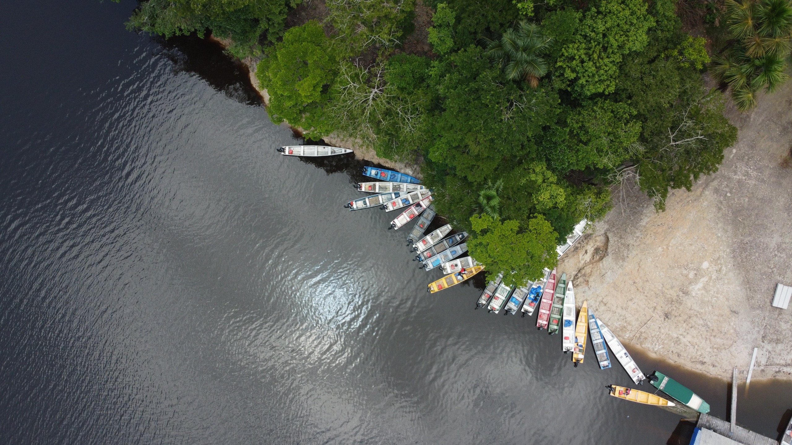 Uma fotografia aérea de alto ângulo mostra um grupo de canoas longas e estreitas atracadas na margem de um rio de águas escuras (pretas ou de cor chá). A margem é uma faixa de terra bege clara ou areia, que se encontra com uma área densa de floresta tropical verde escura.