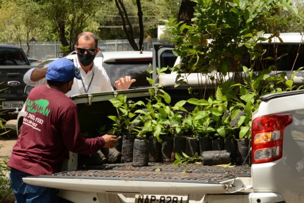 Foto de dois homens tirando mudas de plantas da traseira de um carro. 