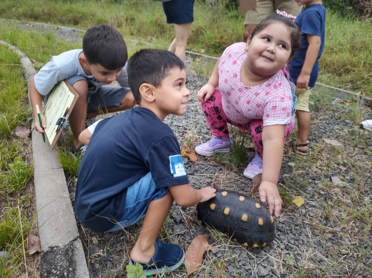 Imagem colorida ilustrativa mostra três crianças sendo estes dois meninos e uma menina, em uma estrada de pedras cinzas brincando com um jabuti.