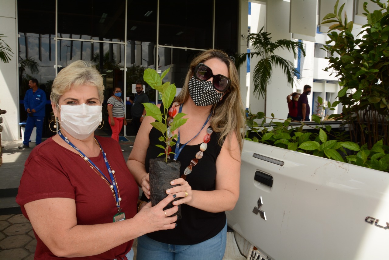 Mudas de plantas são distribuídas para servidores em alusão ao Dia da Árvore 